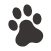 Siberian Cat Weight: What’s Considered Normal and Healthy?